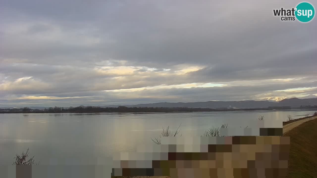 Webcam en vivo lago Brežice en el río Sava – Eslovenia