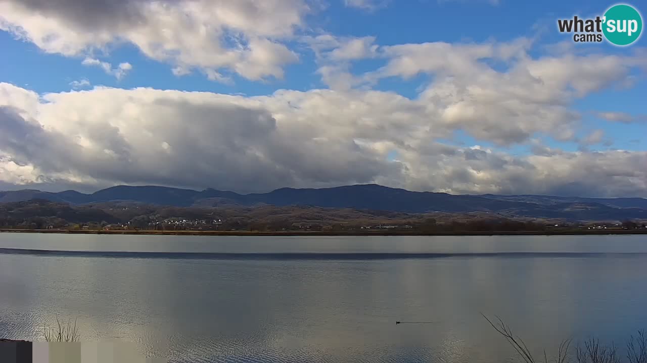 Live Webcam Brežice See am Fluss Sava – Slowenien