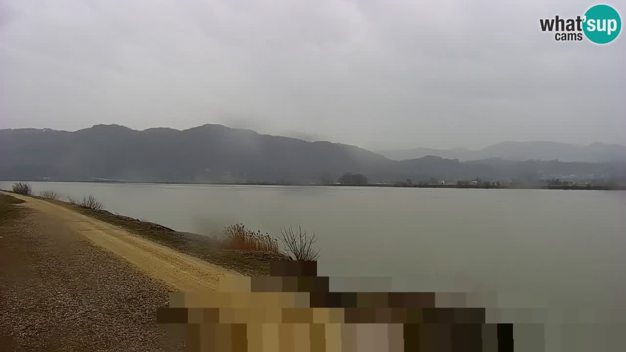 Webcam en direct Lac Brežice sur la rivière Sava – Slovénie