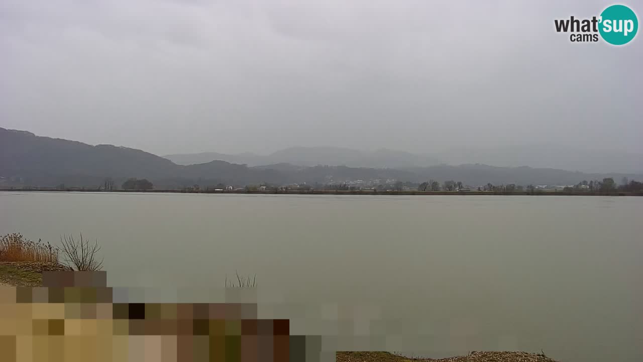 Webcam en direct Lac Brežice sur la rivière Sava – Slovénie