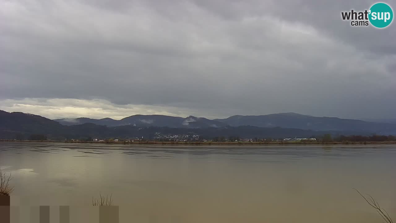 Live Webcam Brežice lake on Sava river – Slovenia