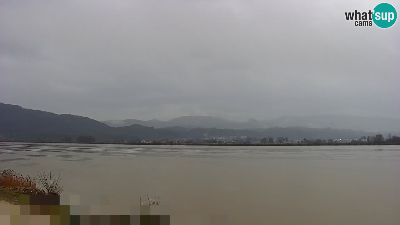 Webcam en direct Lac Brežice sur la rivière Sava – Slovénie