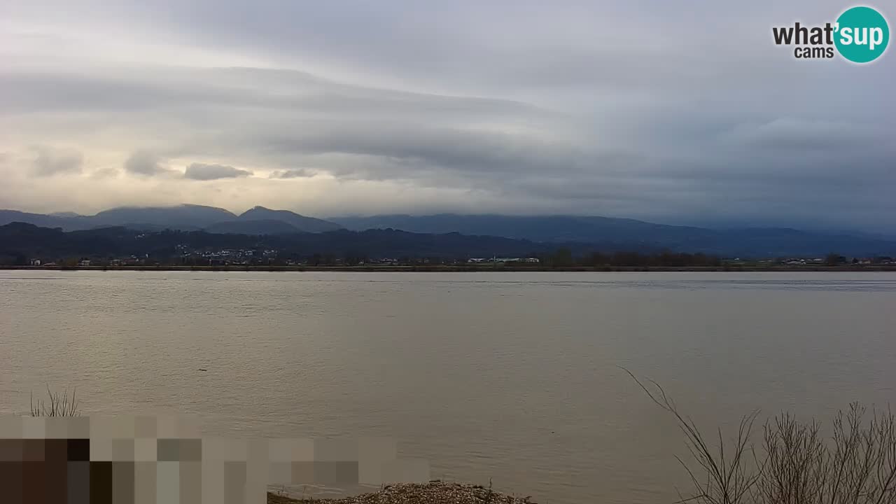 Spletna kamera v živo Brežiško jezero na reki Savi – Slovenija