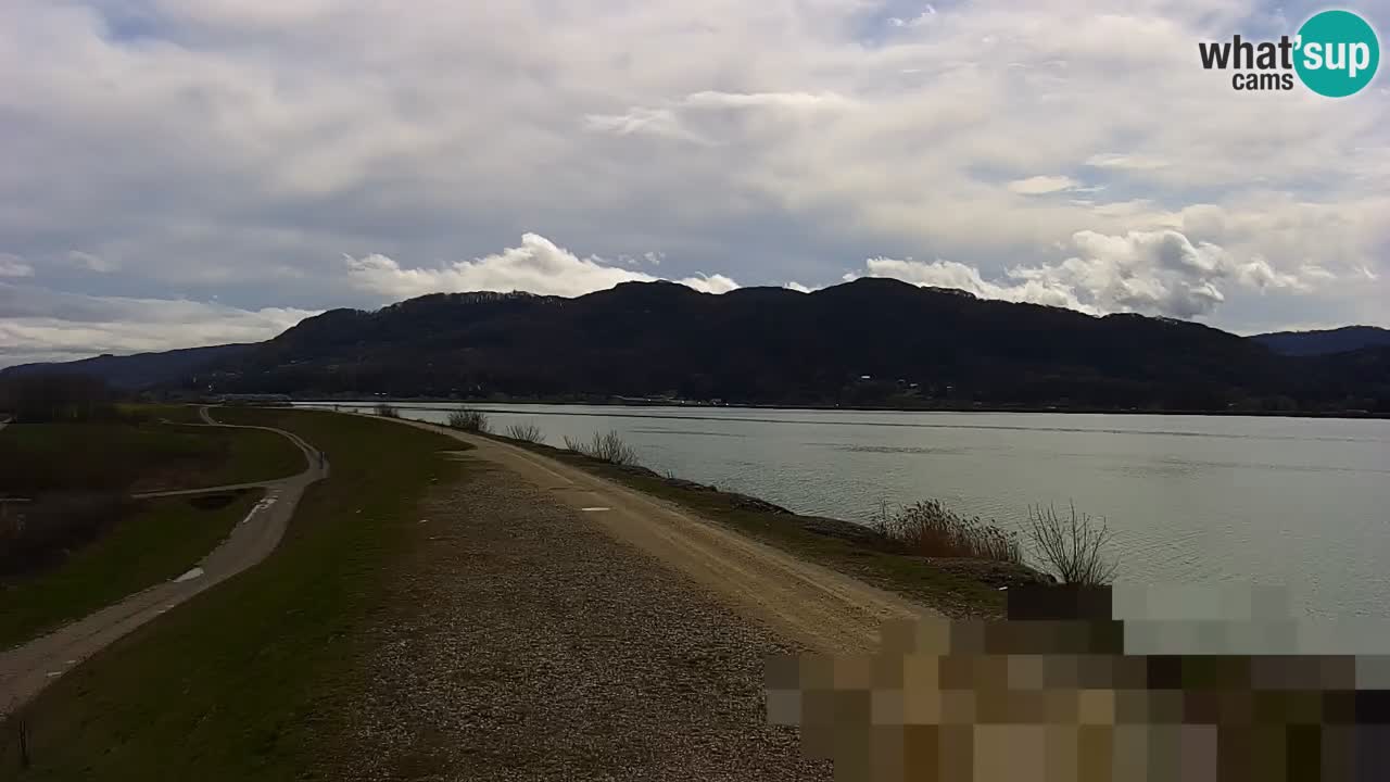 Webcam en direct Lac Brežice sur la rivière Sava – Slovénie