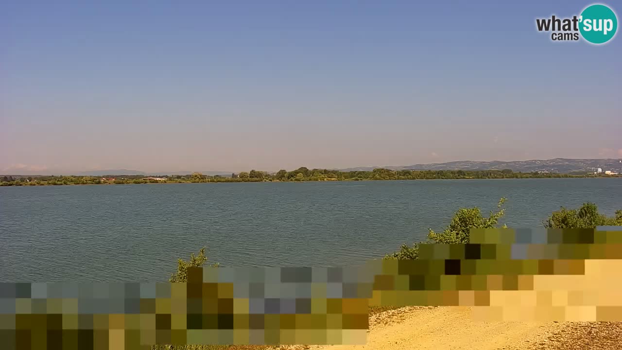 Web kamera uživo Jezero Brežice na rijeci Savi – Slovenija