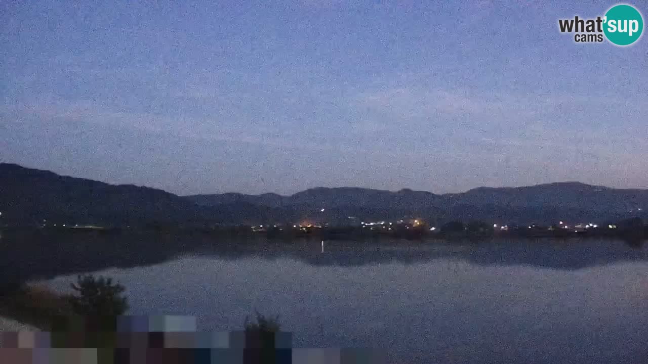 Live Webcam Brežice lake on Sava river – Slovenia