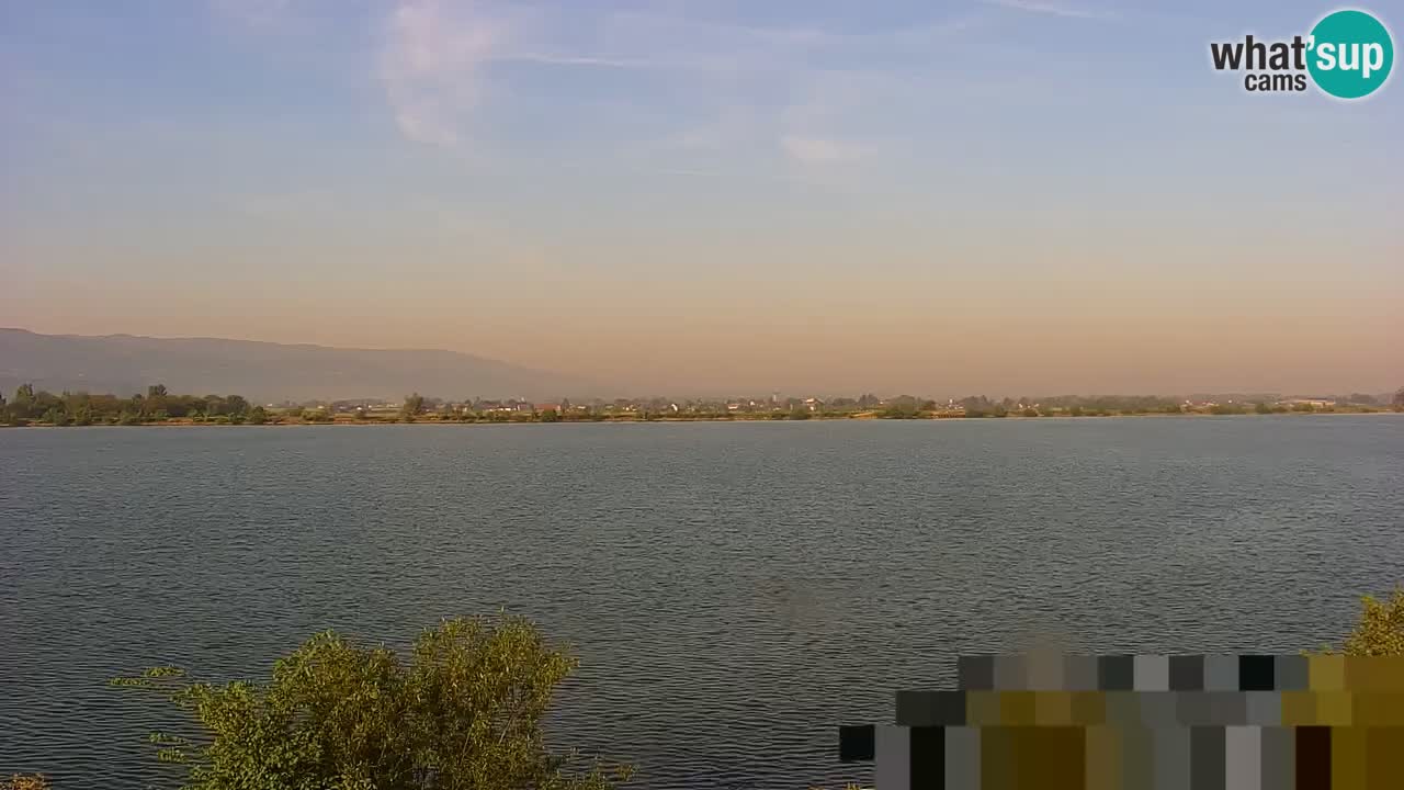 Live Webcam Lago di Brežice sul fiume Sava – Slovenia