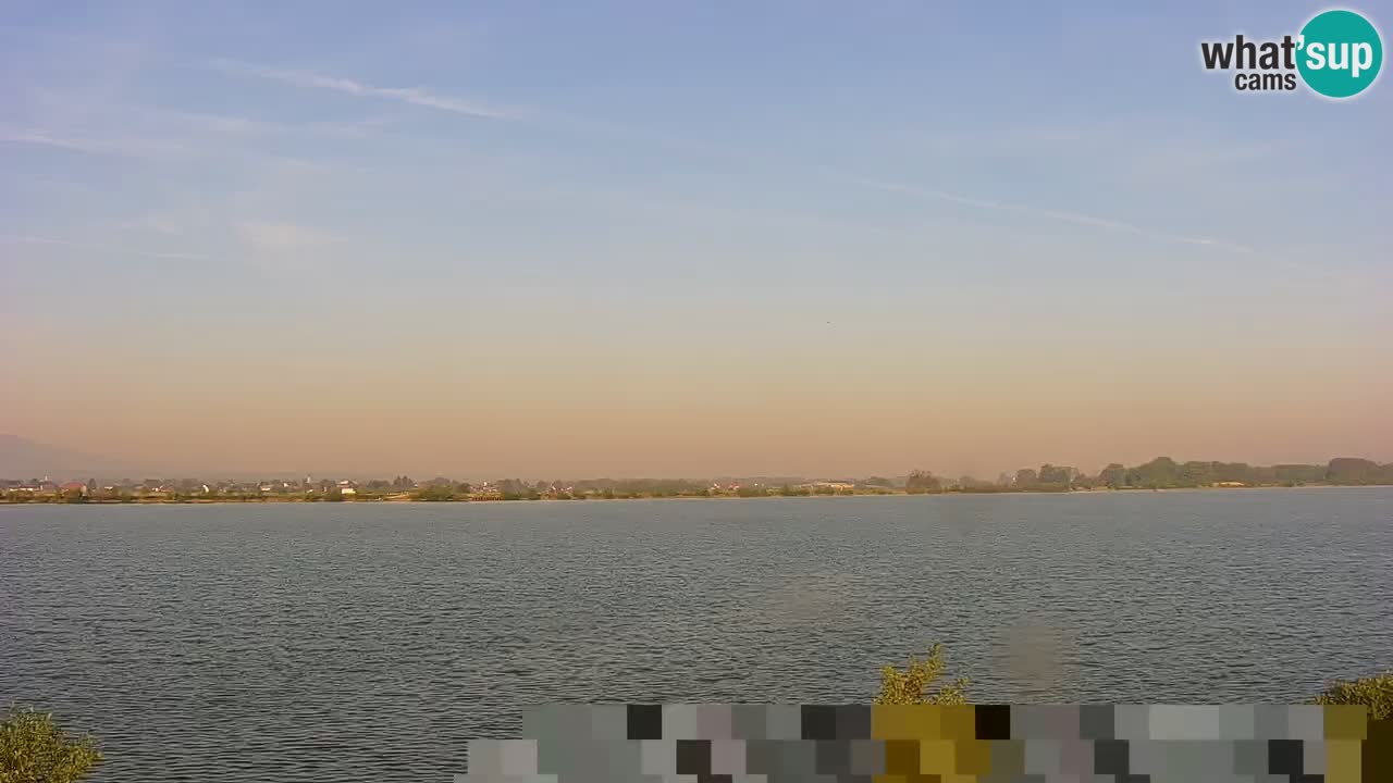 Live Webcam Brežice See am Fluss Sava – Slowenien