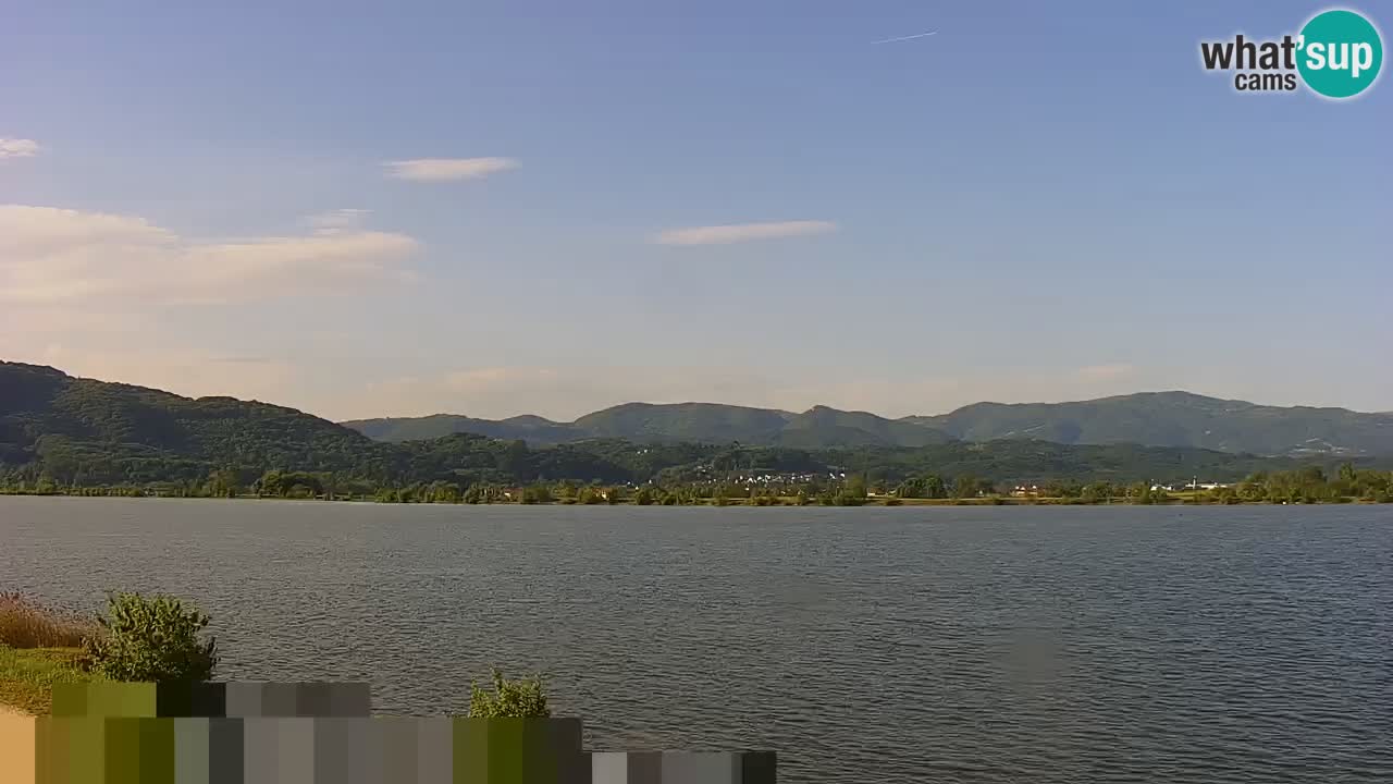 Webcam en direct Lac Brežice sur la rivière Sava – Slovénie