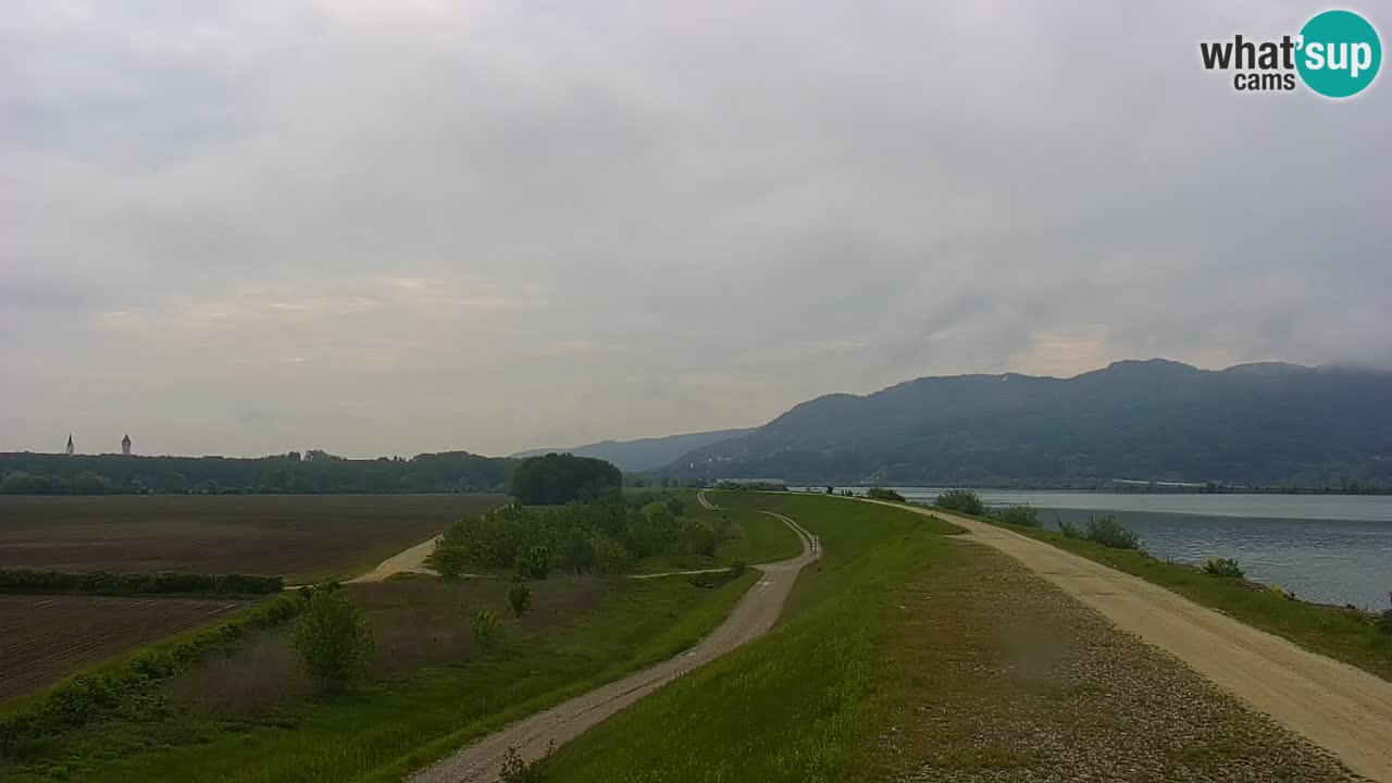 Webcam en vivo lago Brežice en el río Sava – Eslovenia