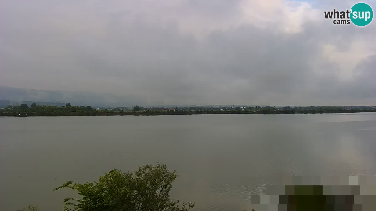 Spletna kamera v živo Brežiško jezero na reki Savi – Slovenija
