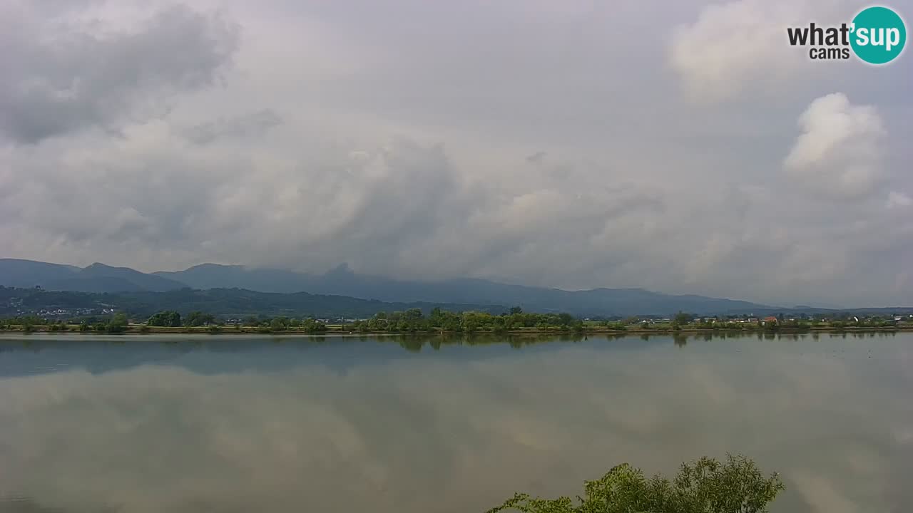 Webcam en vivo lago Brežice en el río Sava – Eslovenia