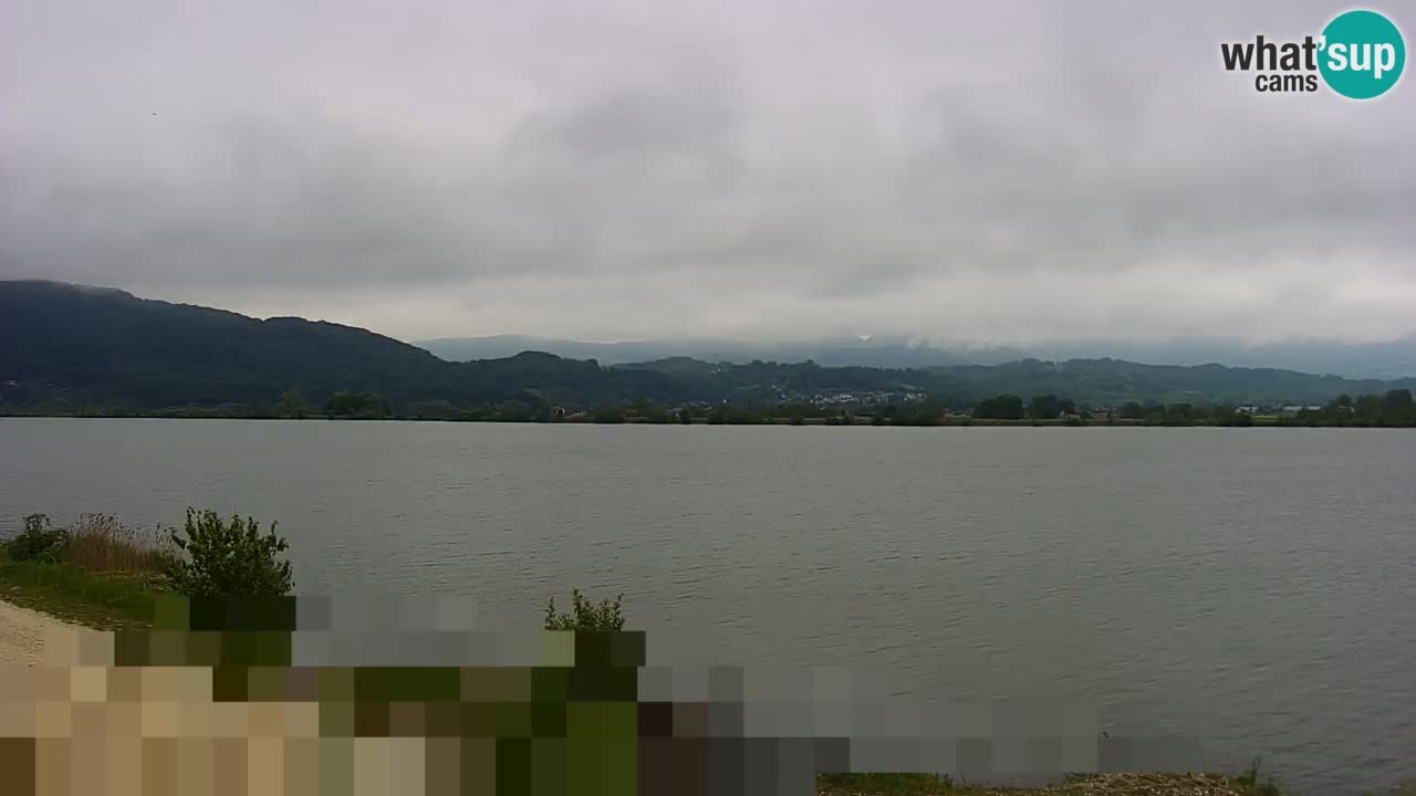 Live Webcam Brežice lake on Sava river – Slovenia