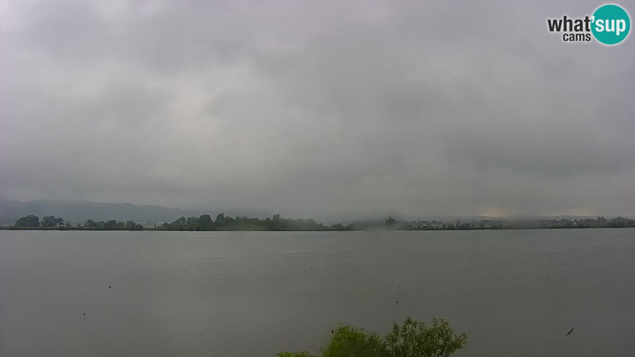Live Webcam Lago di Brežice sul fiume Sava – Slovenia