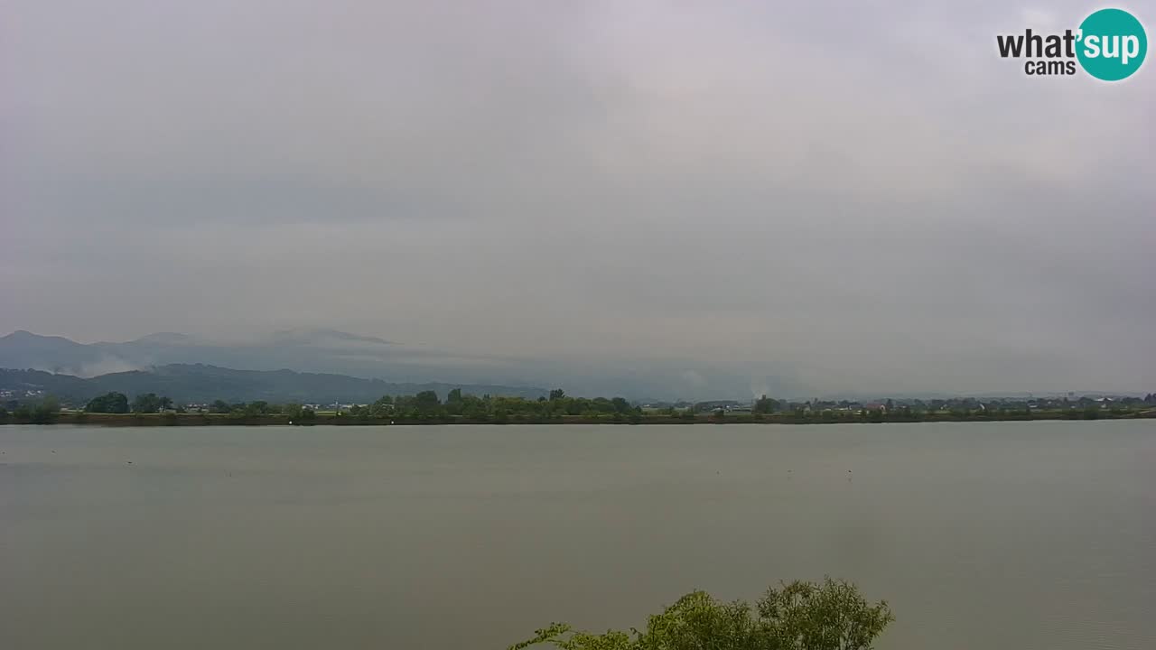 Spletna kamera v živo Brežiško jezero na reki Savi – Slovenija
