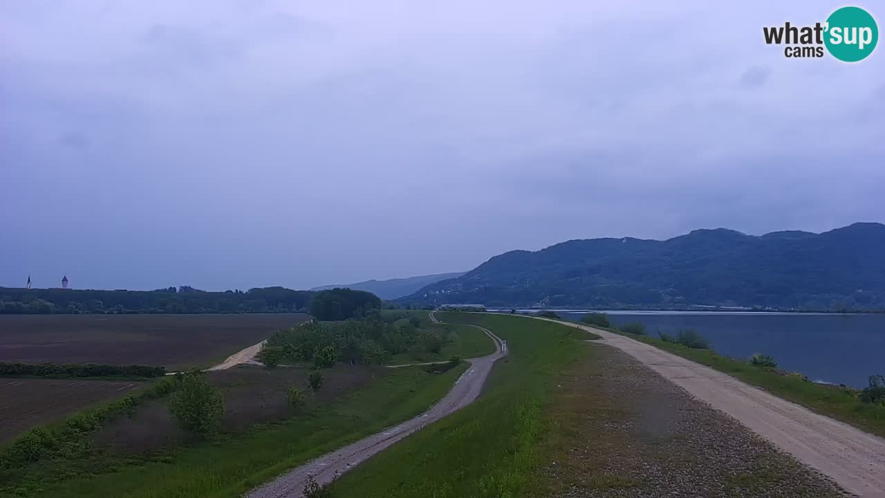 Live Webcam Brežice lake on Sava river – Slovenia