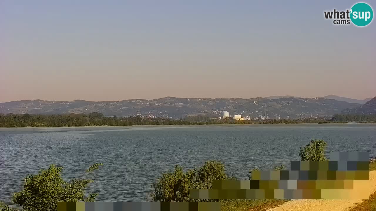 Webcam en vivo lago Brežice en el río Sava – Eslovenia
