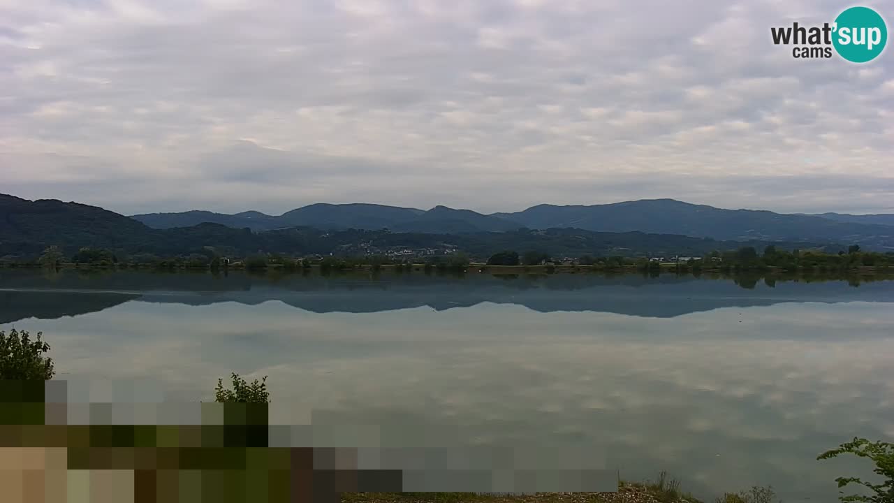 Live Webcam Brežice lake on Sava river – Slovenia