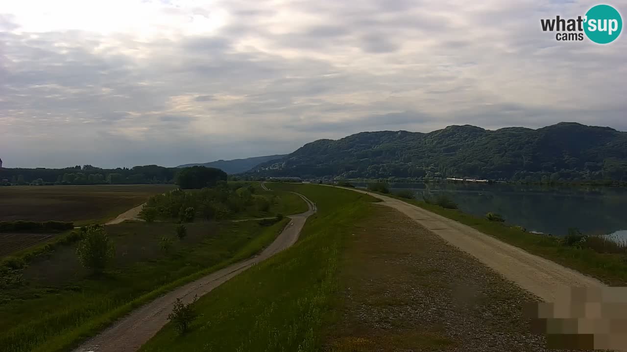 Live Webcam Lago di Brežice sul fiume Sava – Slovenia