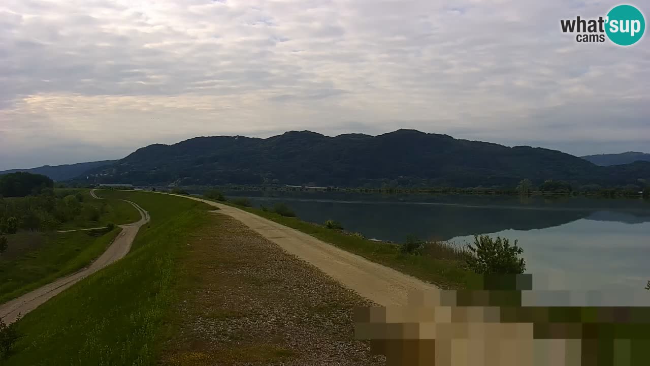 Web kamera uživo Jezero Brežice na rijeci Savi – Slovenija