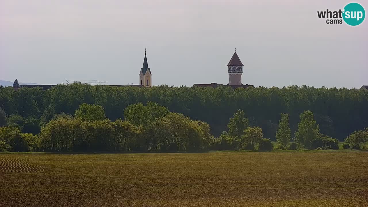 Live Webcam Brežice lake on Sava river – Slovenia