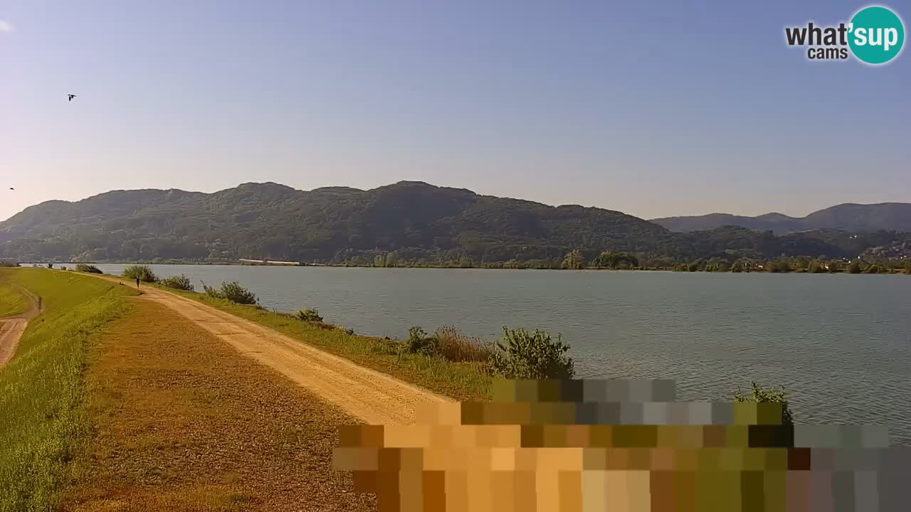 Live Webcam Brežice lake on Sava river – Slovenia