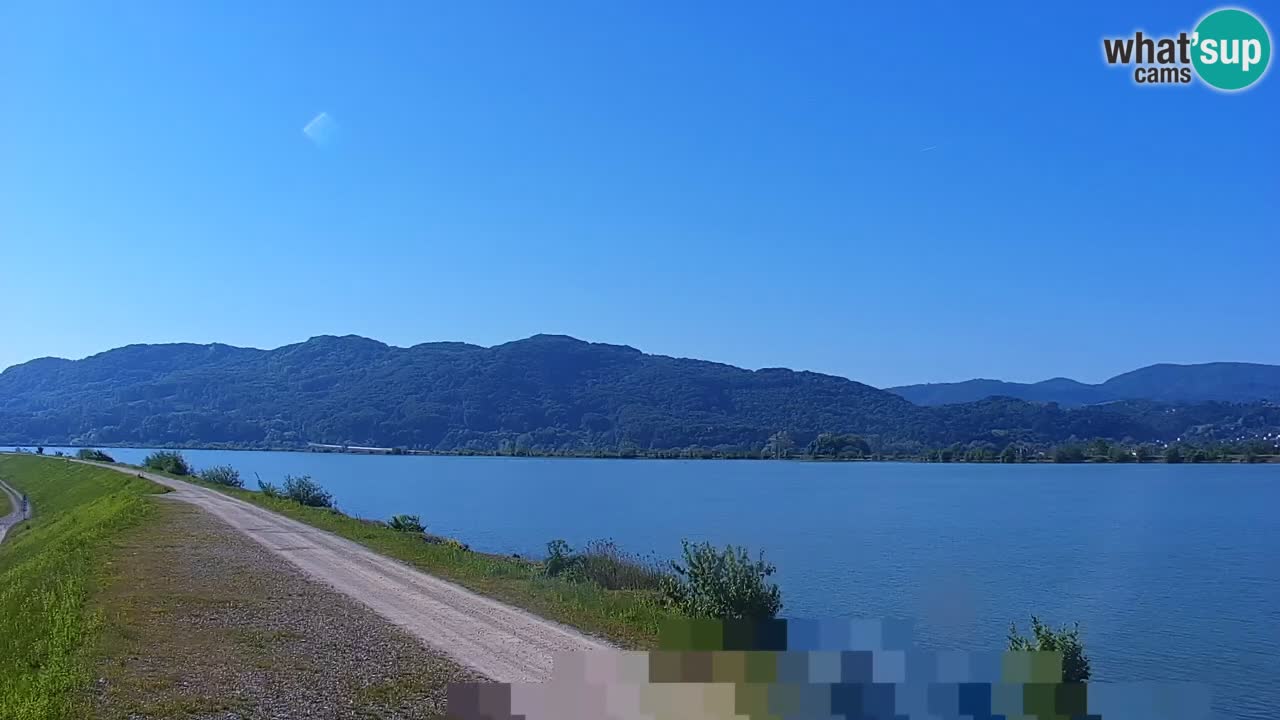 Spletna kamera v živo Brežiško jezero na reki Savi – Slovenija