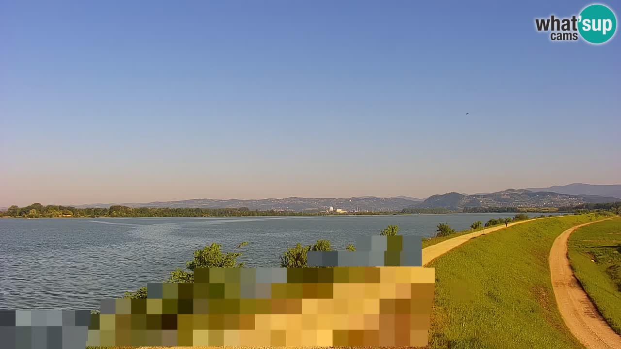 Spletna kamera v živo Brežiško jezero na reki Savi – Slovenija