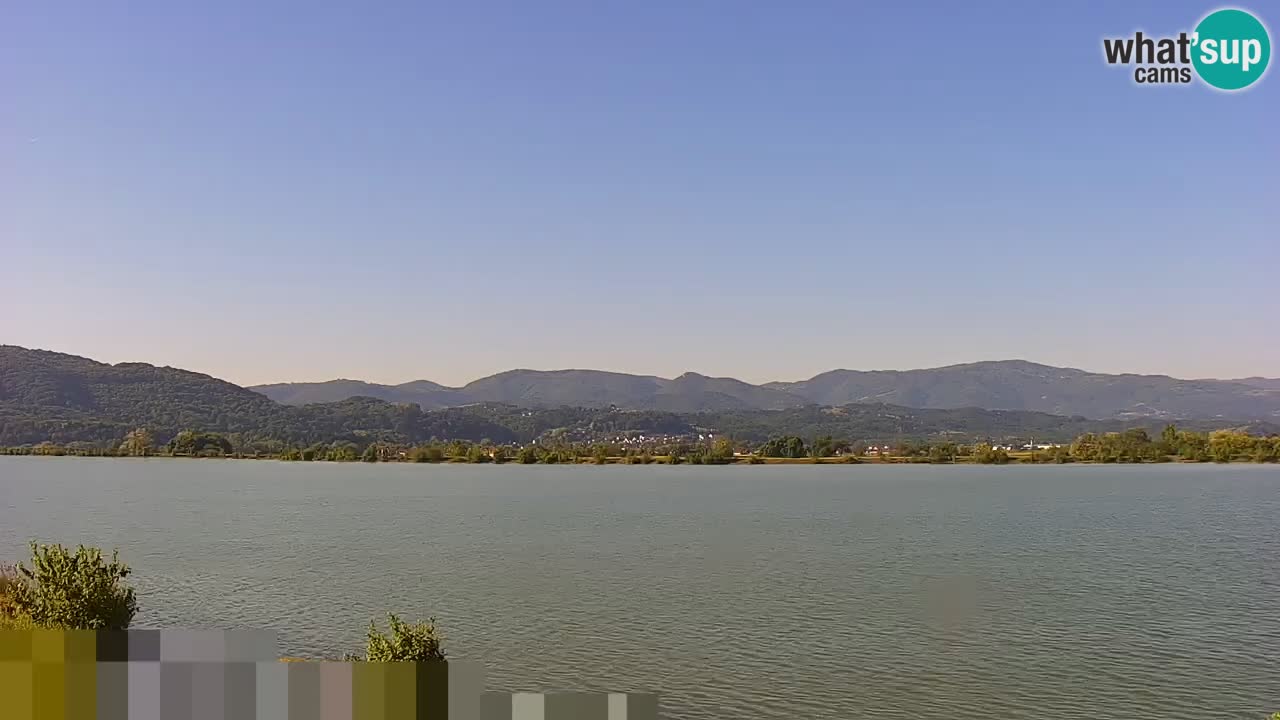 Live Webcam Brežice lake on Sava river – Slovenia