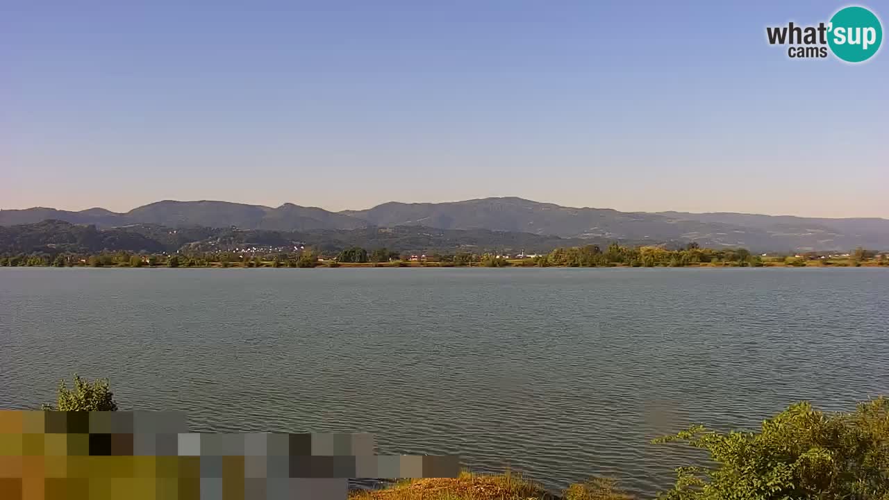 Live Webcam Brežice lake on Sava river – Slovenia