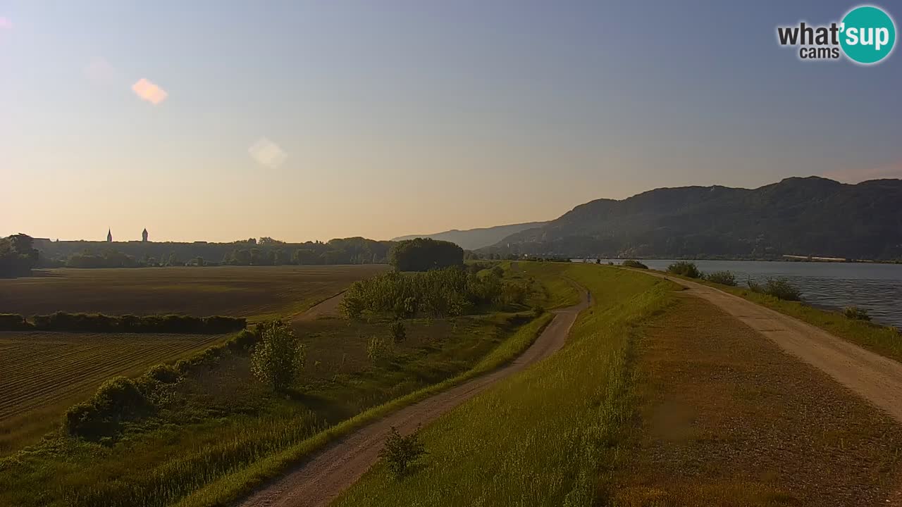 Webcam en direct Lac Brežice sur la rivière Sava – Slovénie
