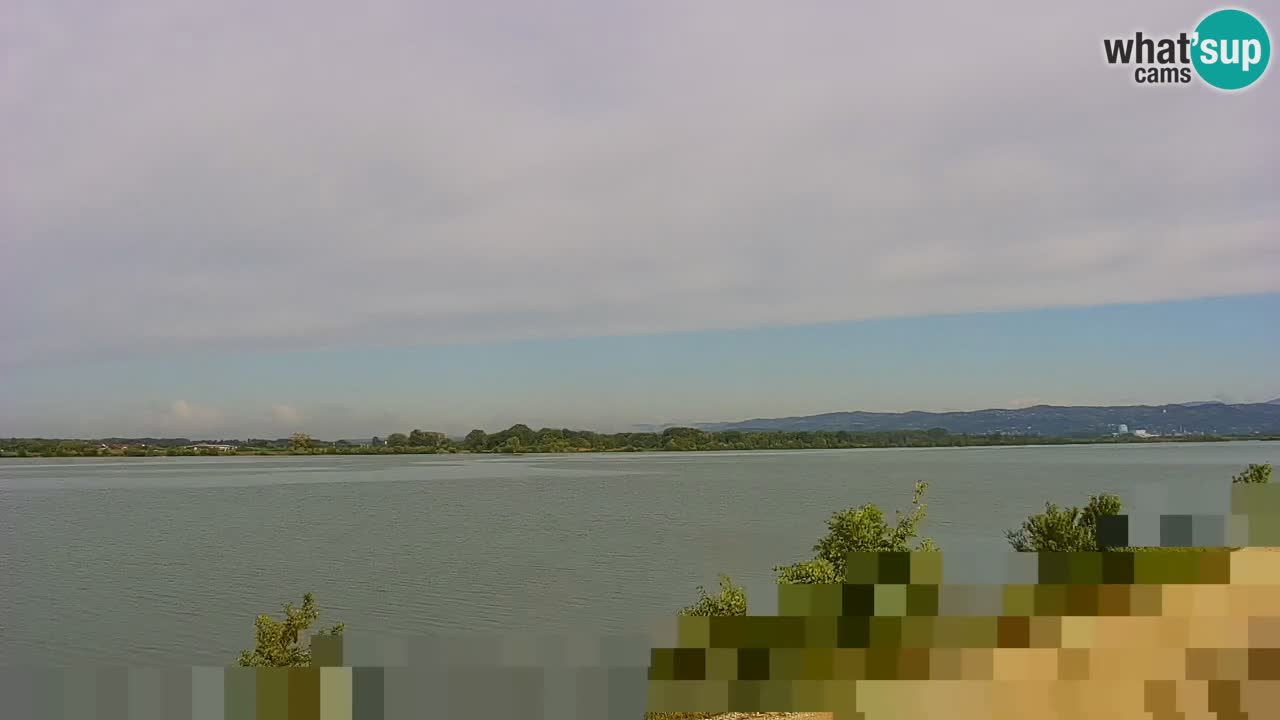 Live Webcam Brežice lake on Sava river – Slovenia