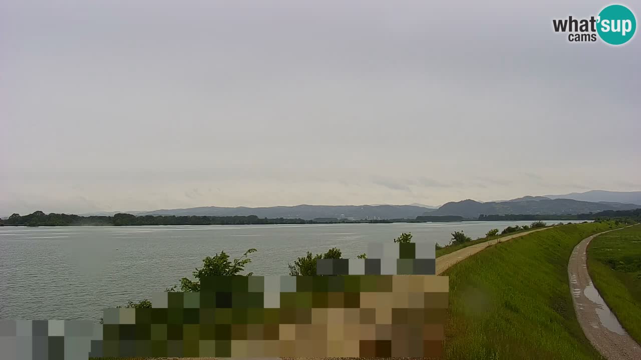 Live Webcam Lago di Brežice sul fiume Sava – Slovenia