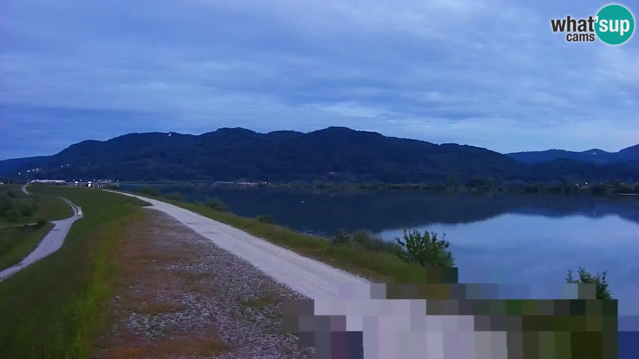 Webcam en vivo lago Brežice en el río Sava – Eslovenia