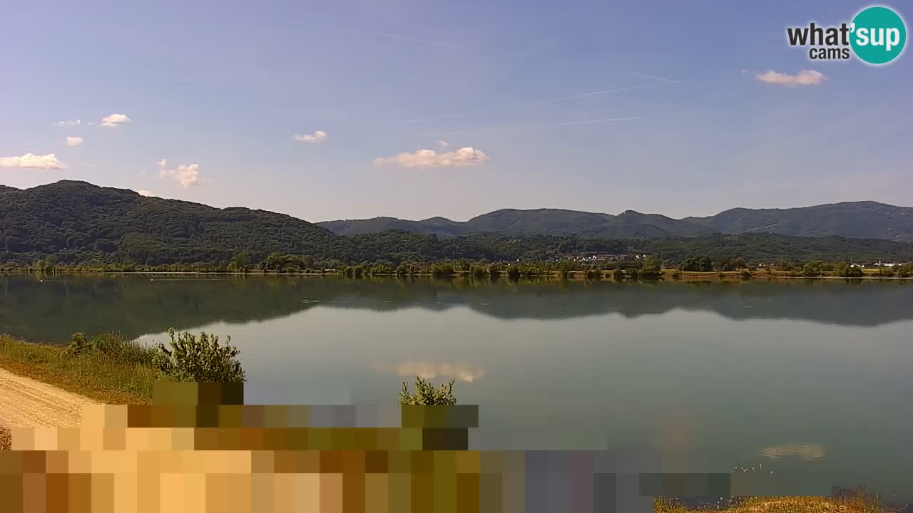 Web kamera uživo Jezero Brežice na rijeci Savi – Slovenija