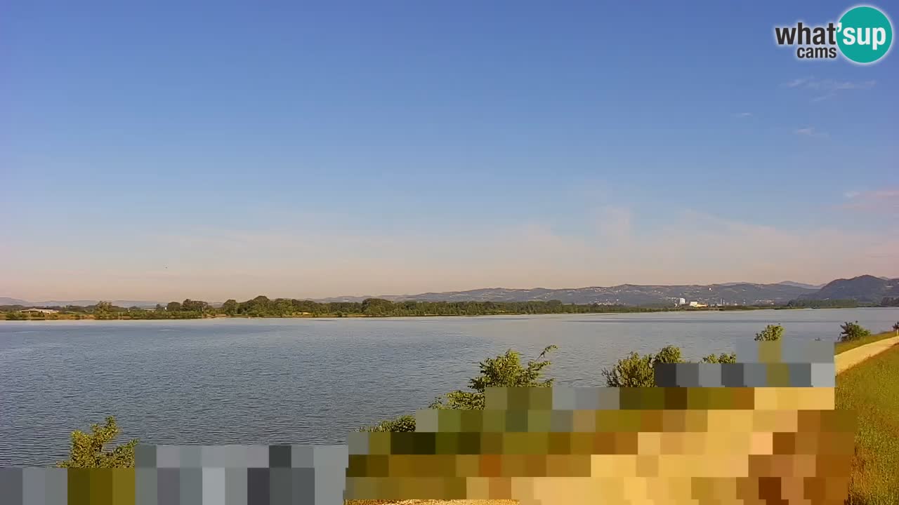 Live Webcam Brežice lake on Sava river – Slovenia