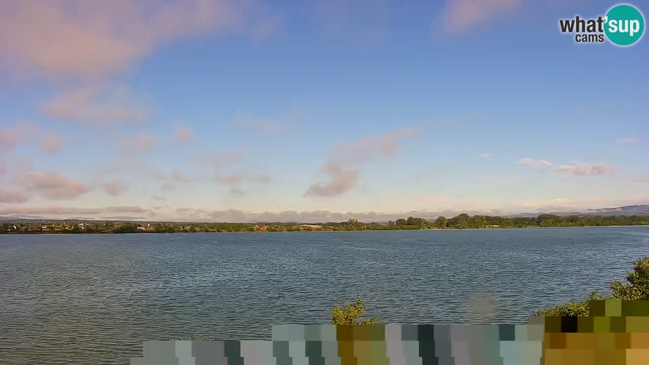 Webcam en vivo lago Brežice en el río Sava – Eslovenia
