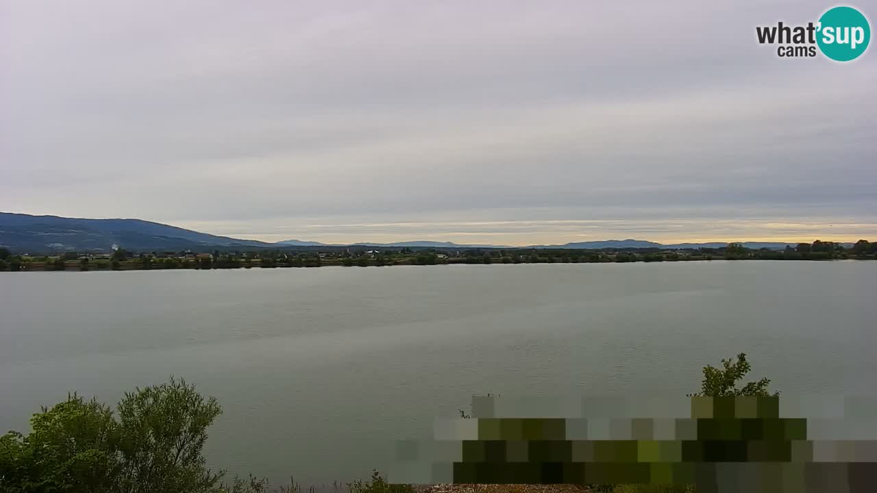 Live Webcam Brežice See am Fluss Sava – Slowenien