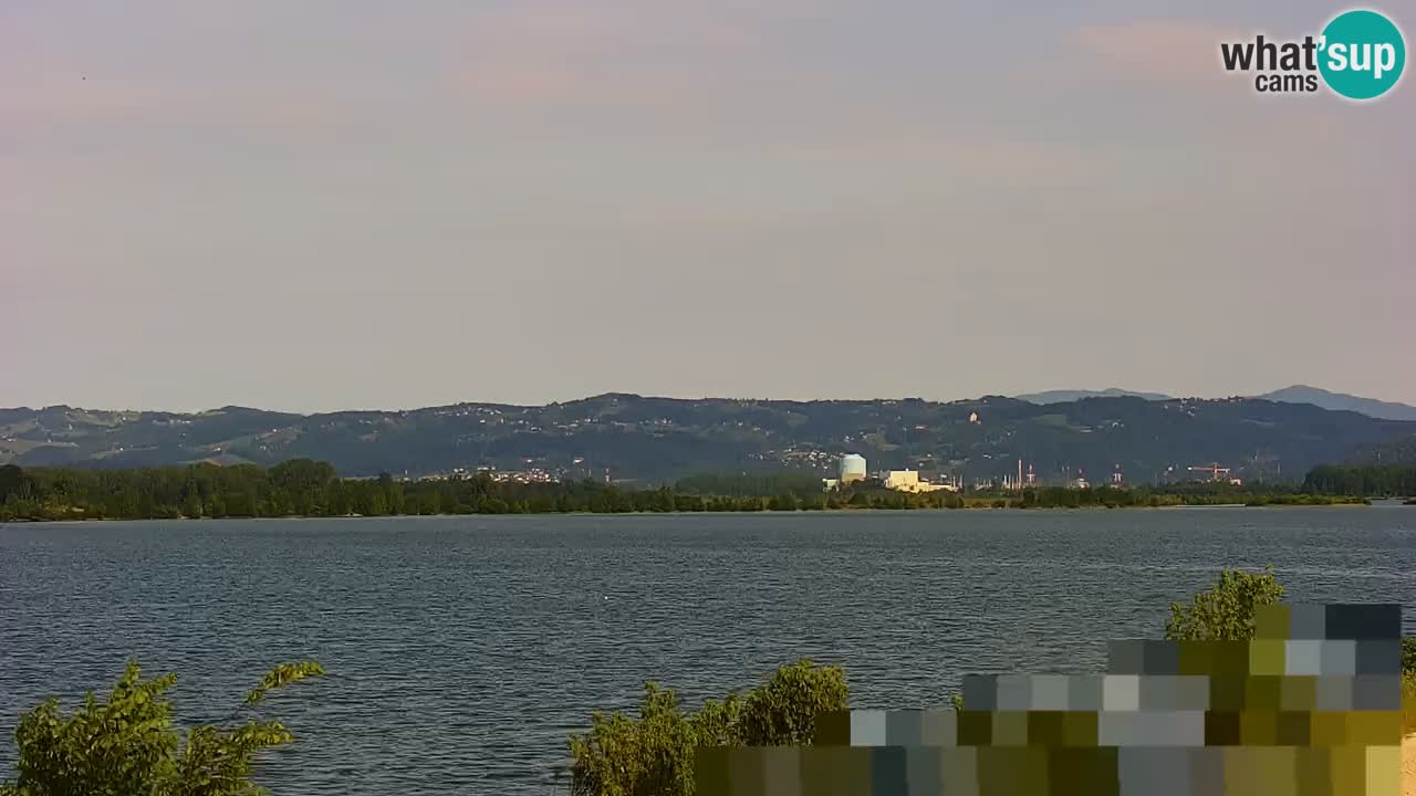 Webcam en vivo lago Brežice en el río Sava – Eslovenia