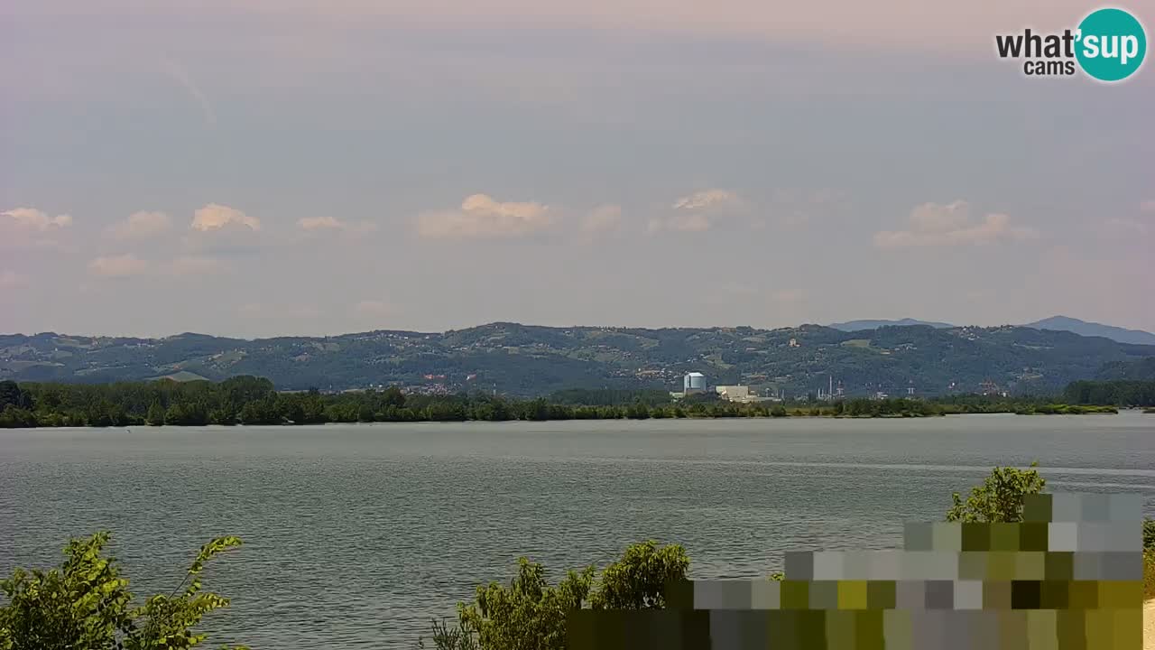 Live Webcam Brežice See am Fluss Sava – Slowenien
