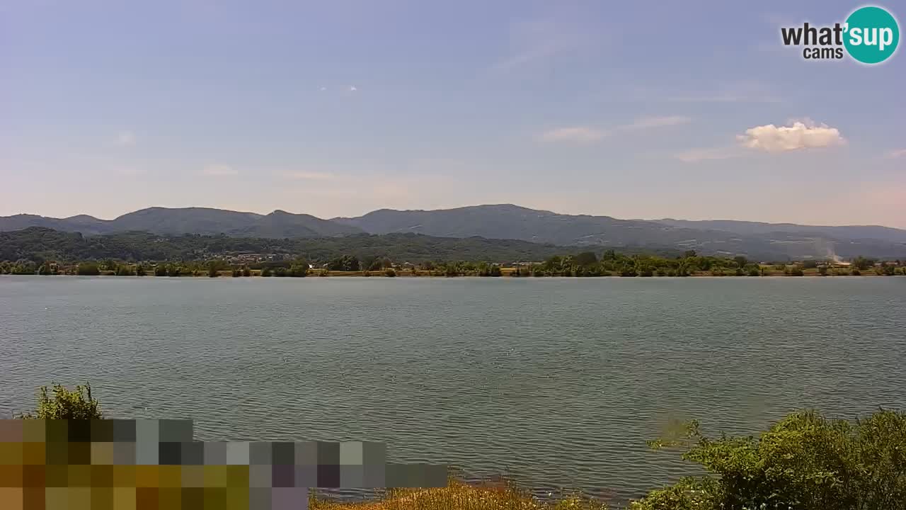 Webcam en direct Lac Brežice sur la rivière Sava – Slovénie