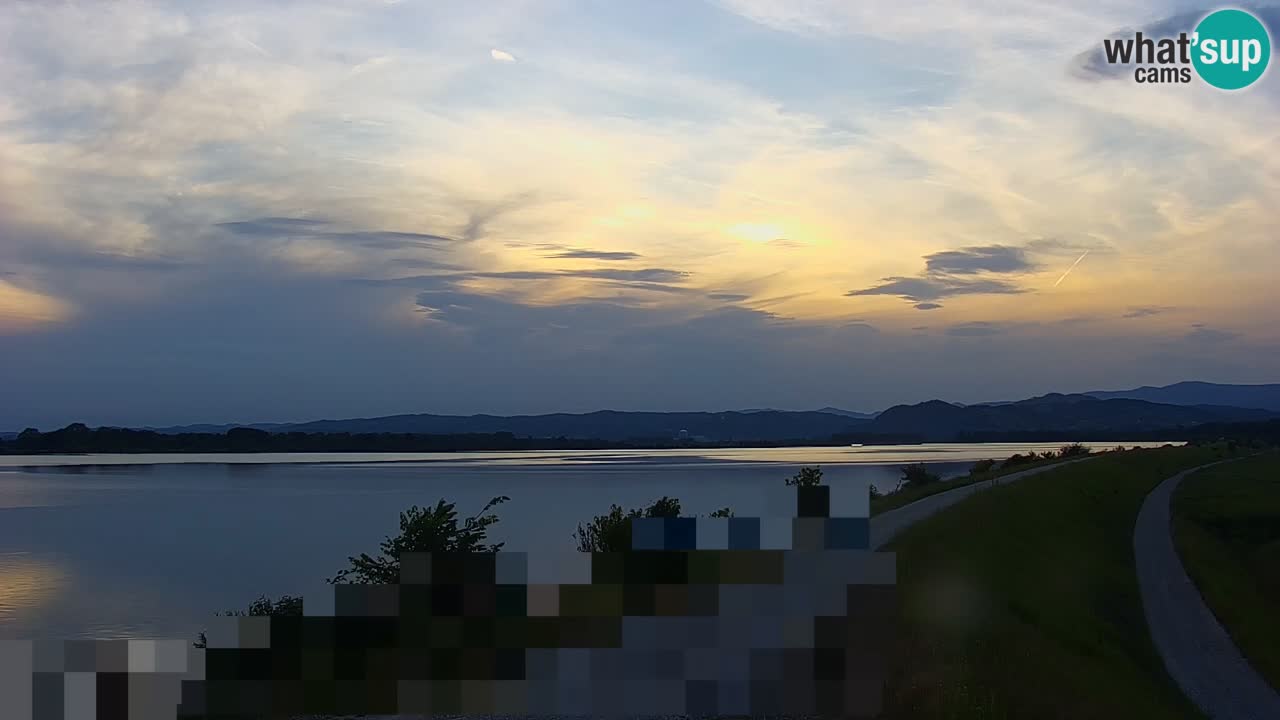 Live Webcam Lago di Brežice sul fiume Sava – Slovenia