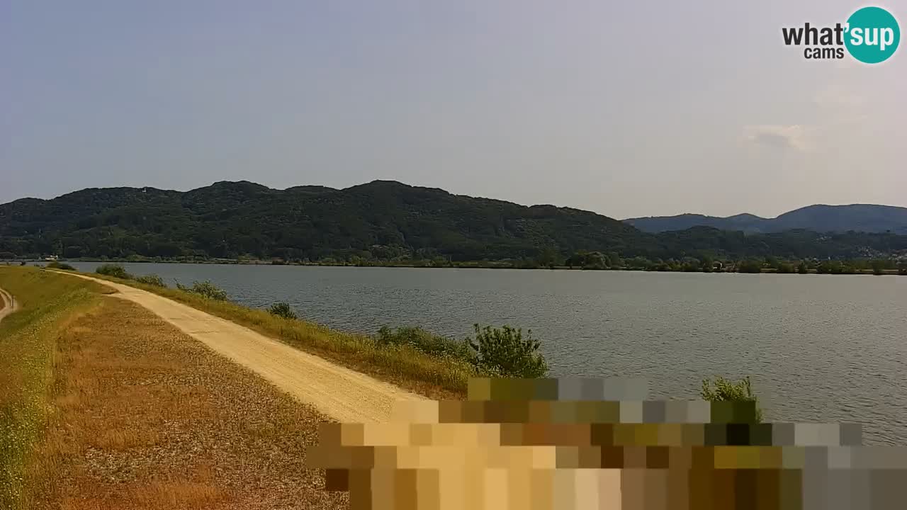 Live Webcam Brežice lake on Sava river – Slovenia