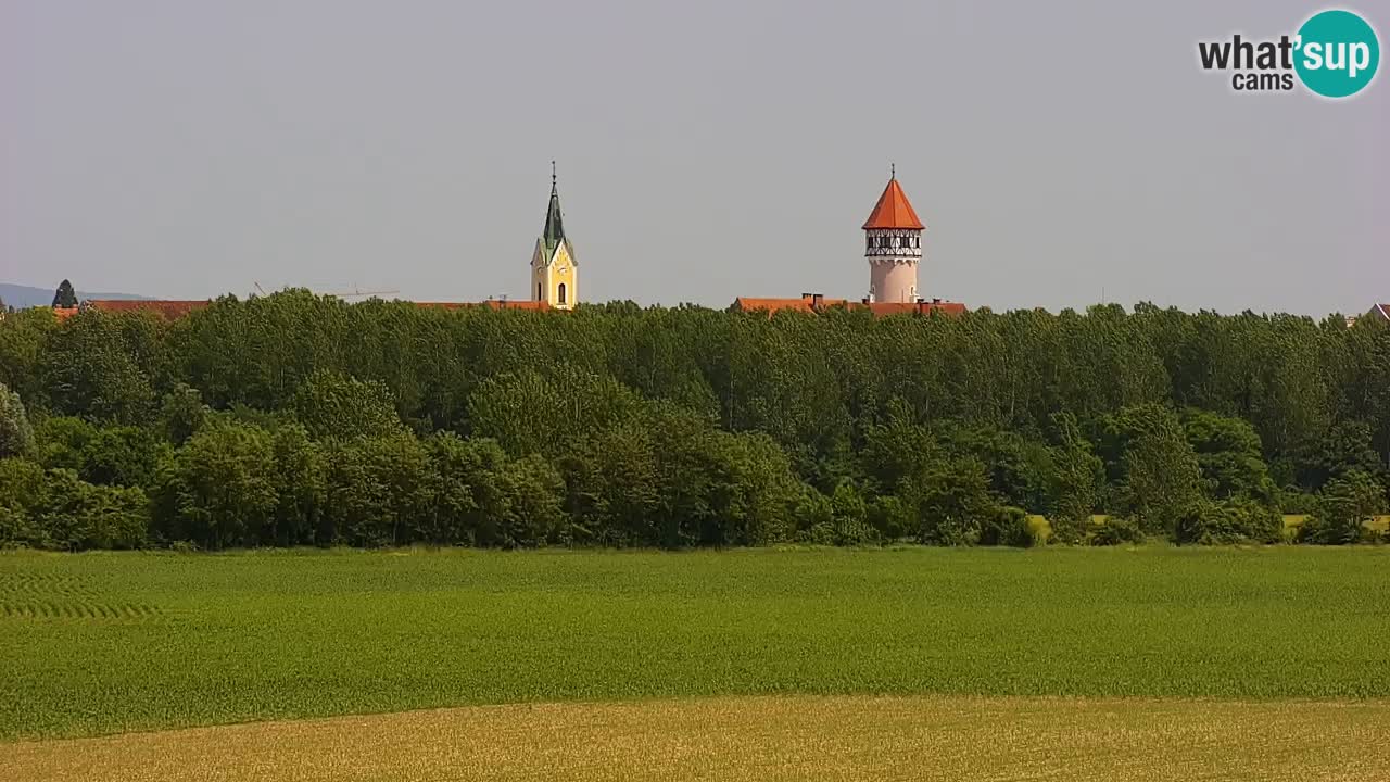 Live Webcam Brežice lake on Sava river – Slovenia