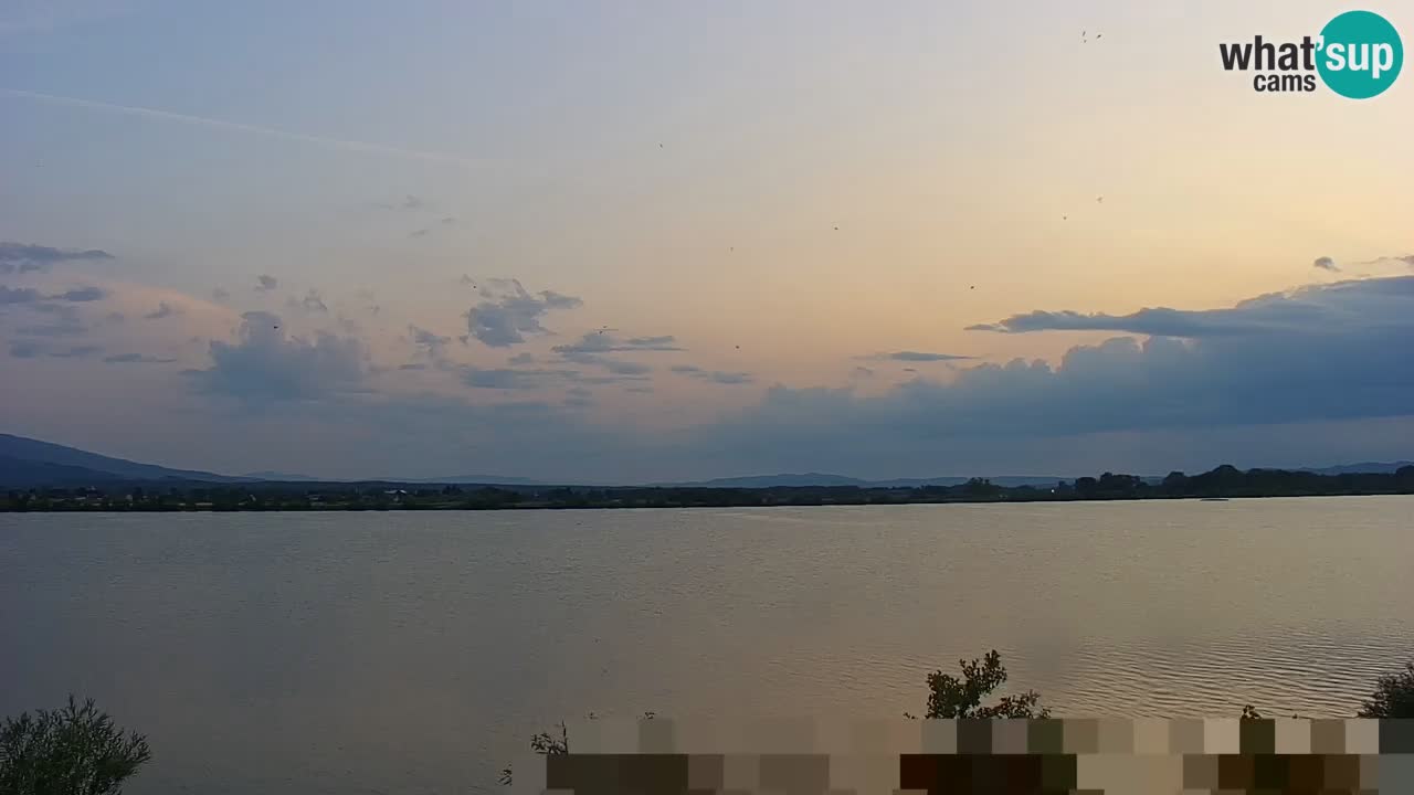 Webcam en direct Lac Brežice sur la rivière Sava – Slovénie