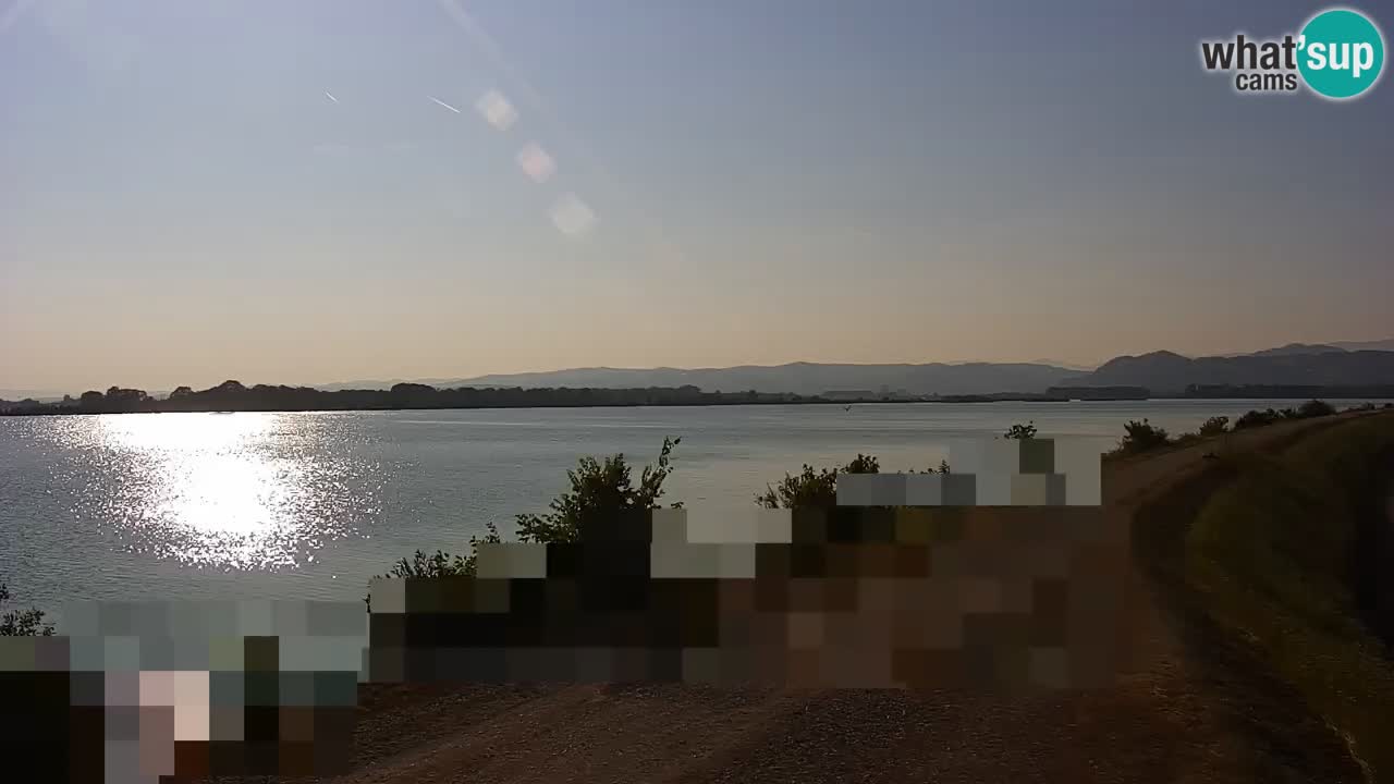 Live Webcam Brežice lake on Sava river – Slovenia