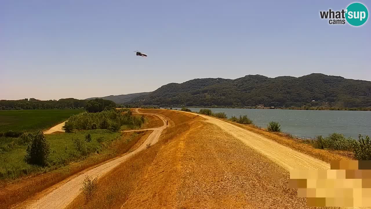 Web kamera uživo Jezero Brežice na rijeci Savi – Slovenija
