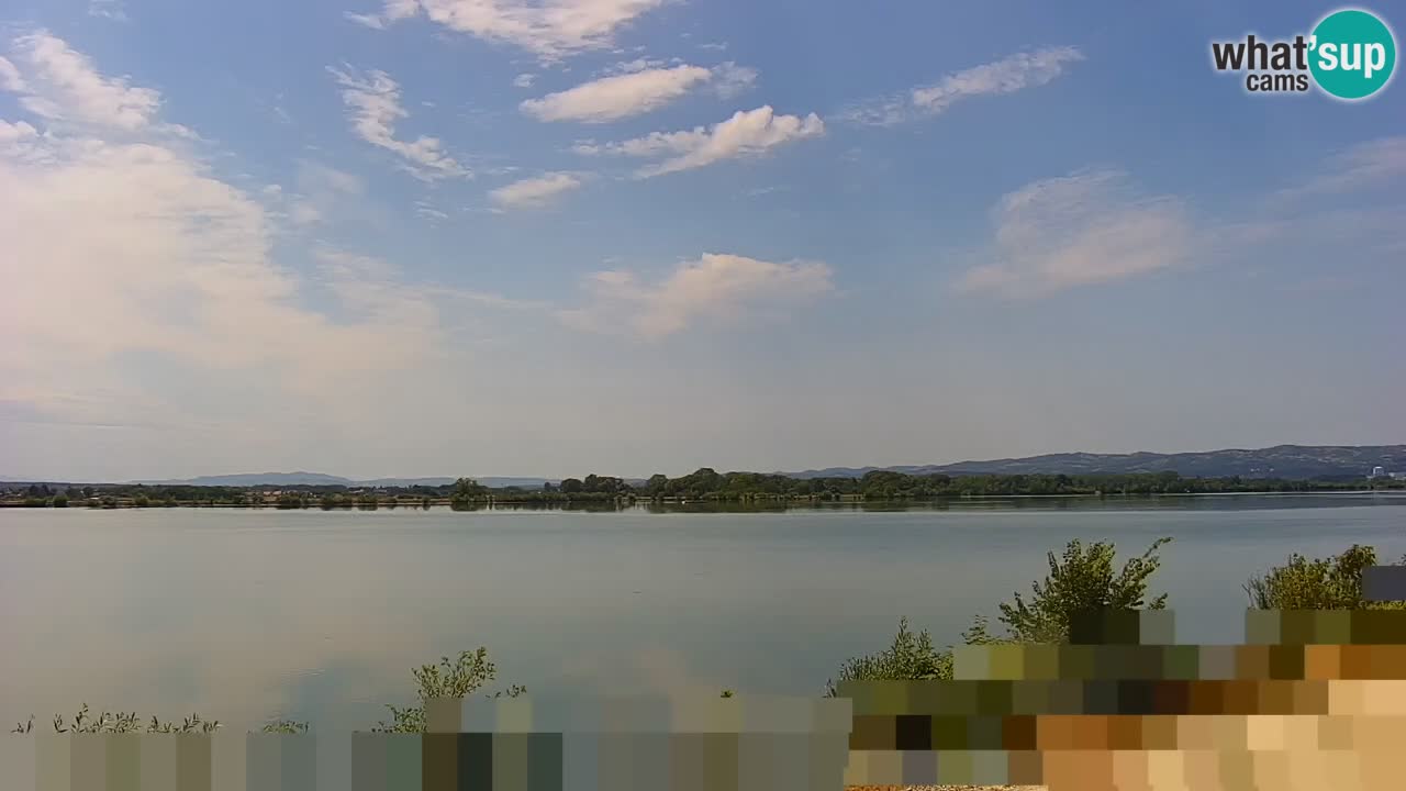 Live Webcam Brežice lake on Sava river – Slovenia