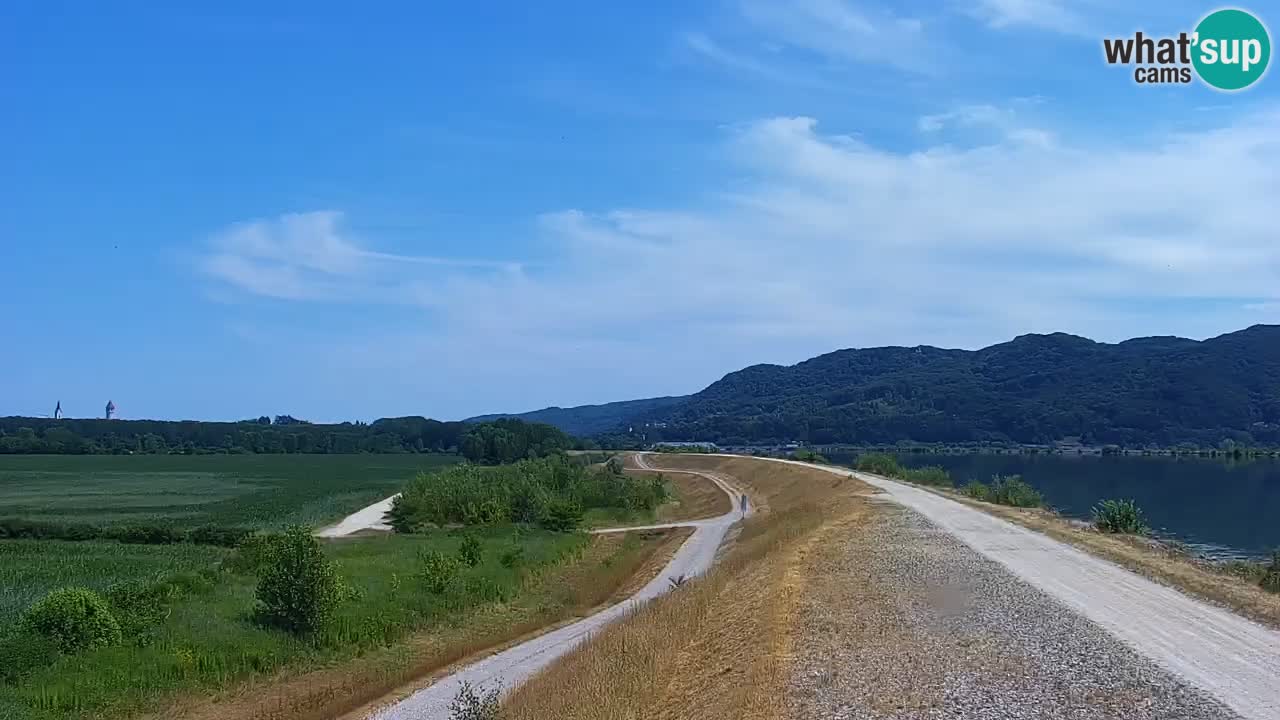 Live Webcam Brežice lake on Sava river – Slovenia