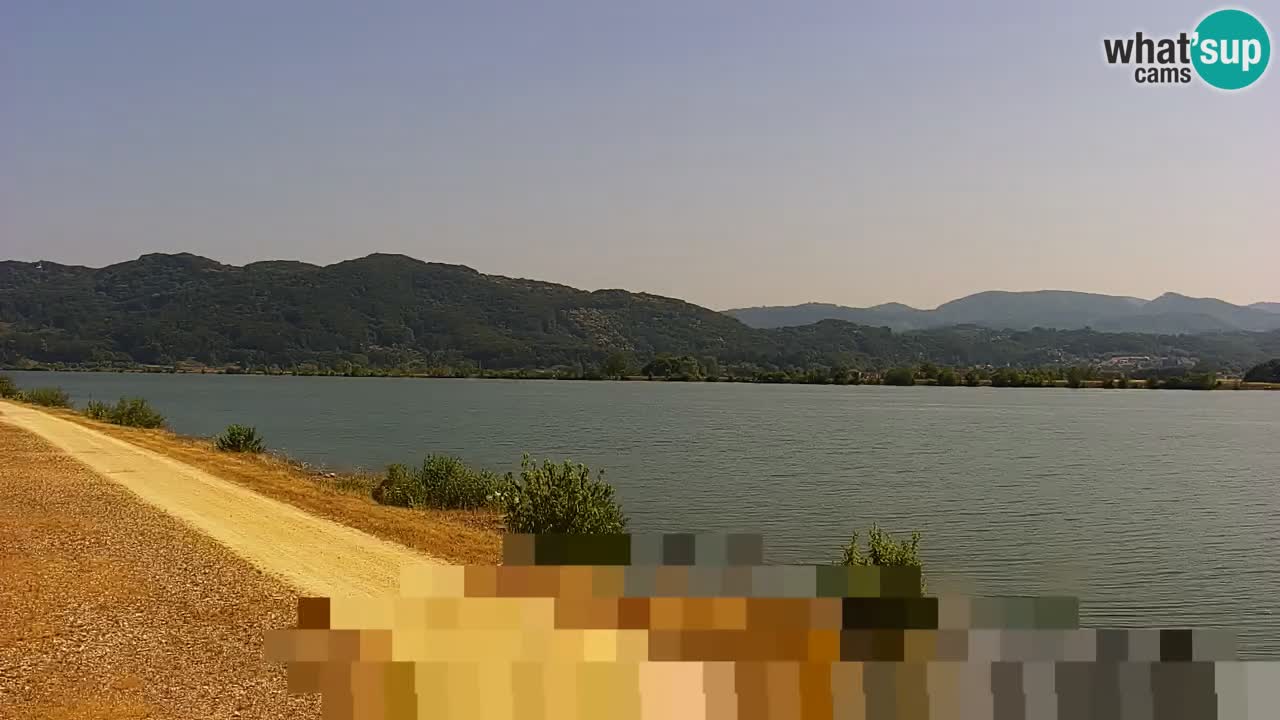 Webcam en vivo lago Brežice en el río Sava – Eslovenia